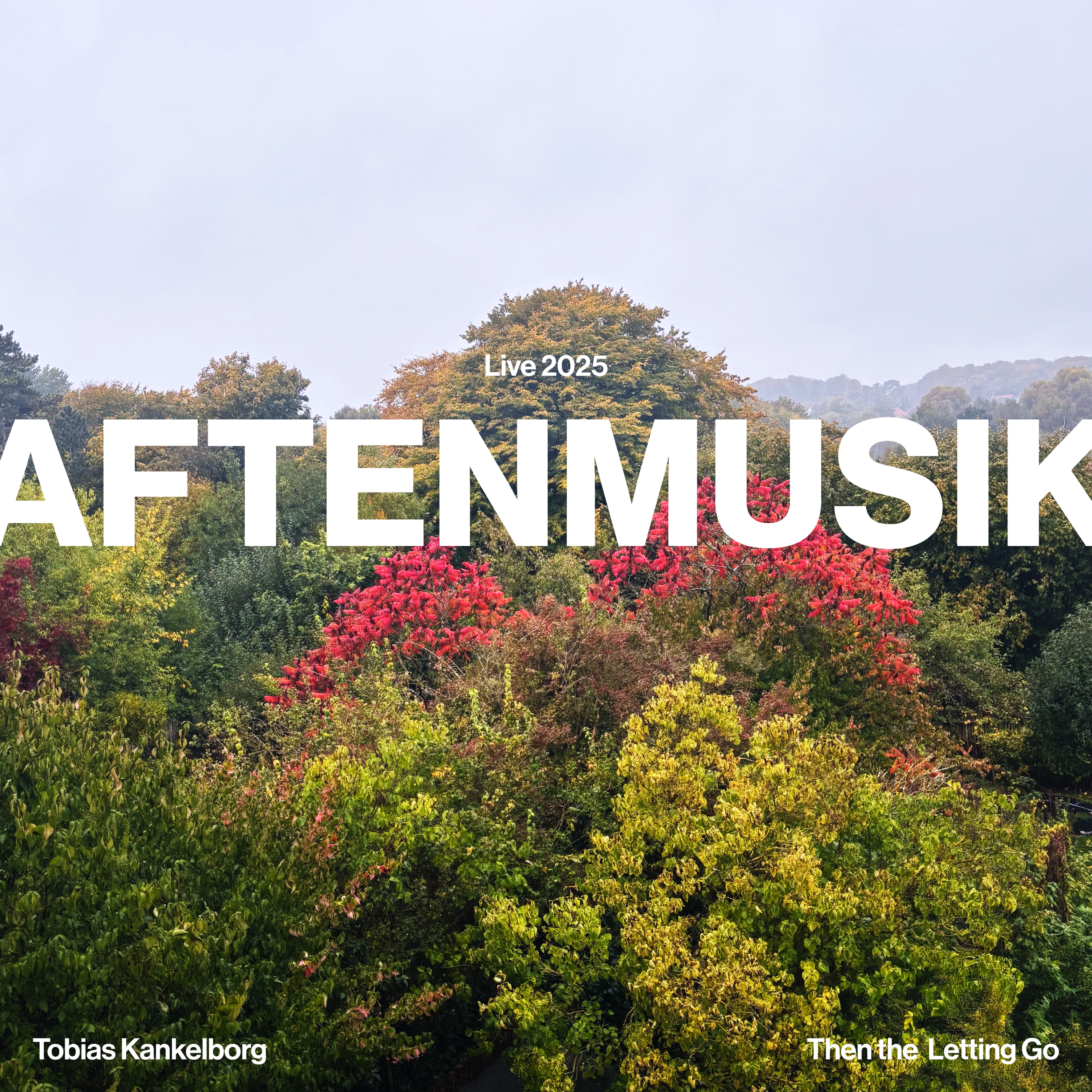 Tobias Kankelborg & Then the Letting Go - Aftenmusik Live Tobias Kankelborg & Then the Letting Go - Aftenmusik Live album cover