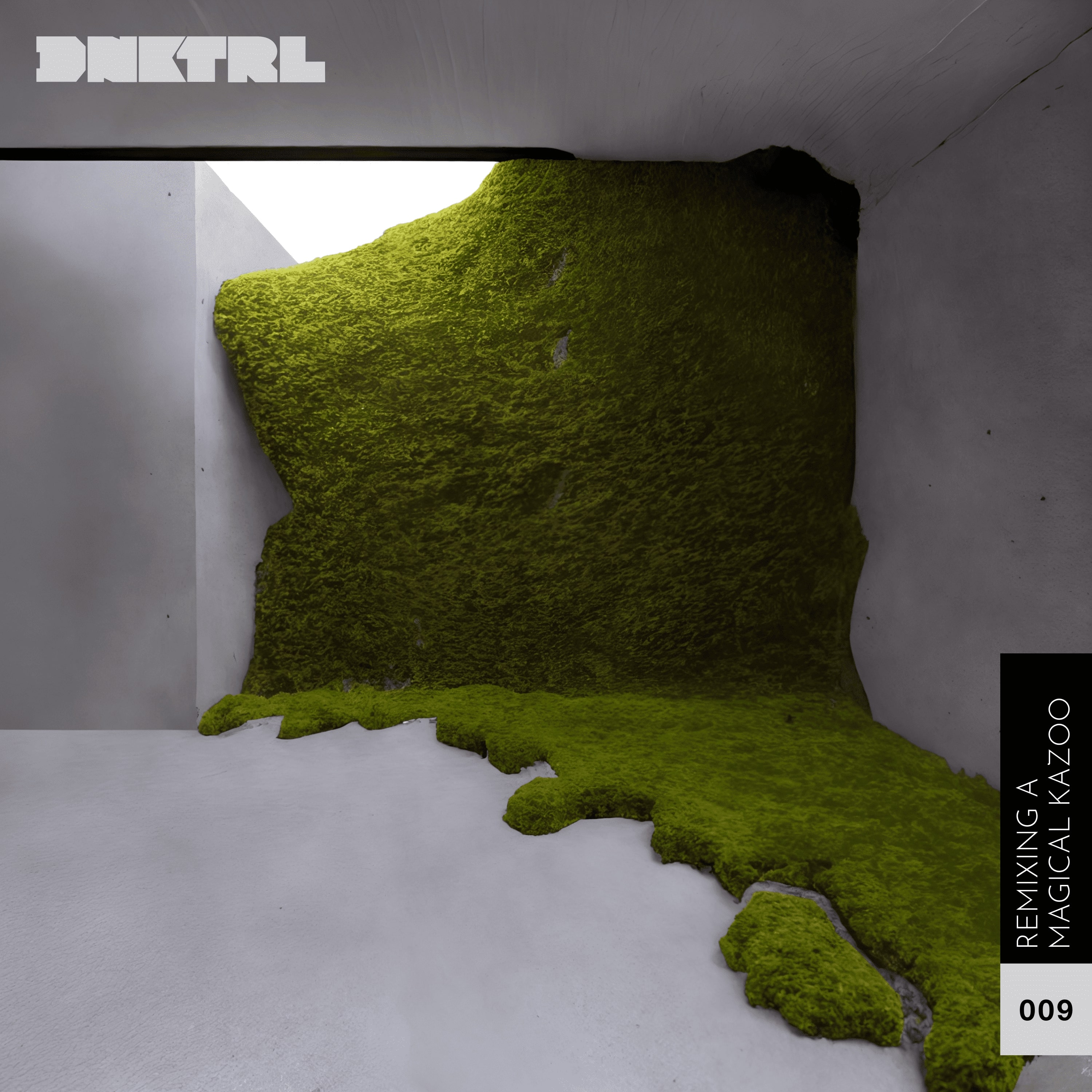 DNKTRL - Remixing a Magical Kazoo DNKTRL - Remixing a Magical Kazoo album cover