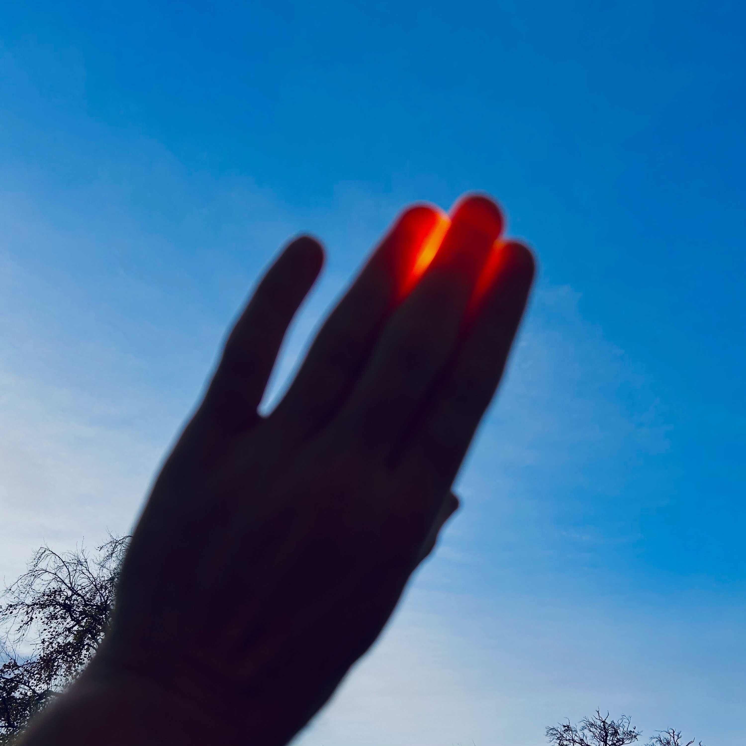 BM404 - Solfinger BM404 - Solfinger album cover